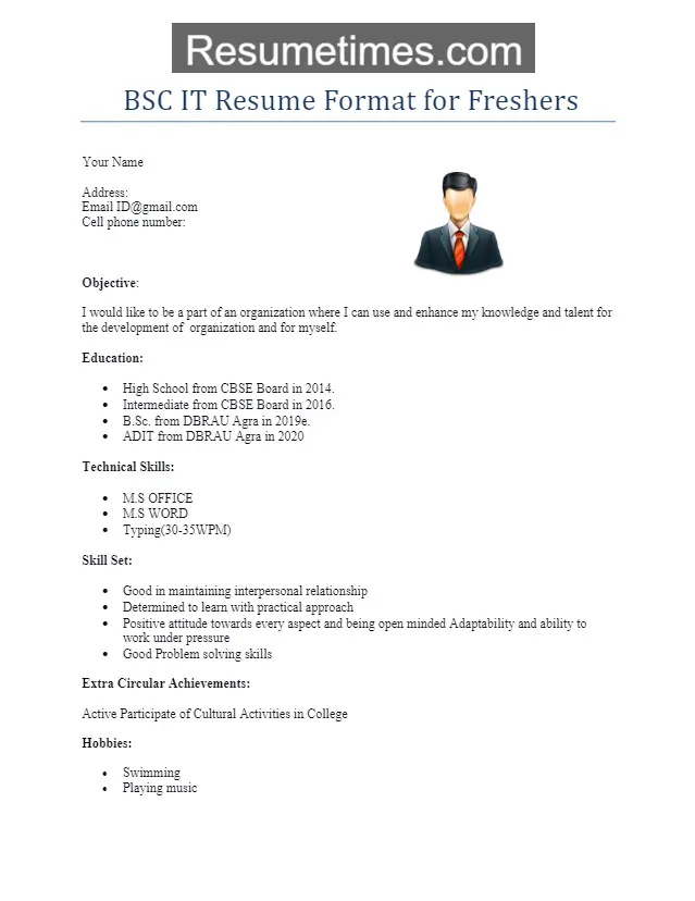 BSc IT Resume Format